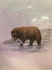 Canadian Wildlife  Original Watercolour Painting Collection