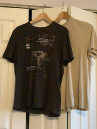 2 men’s t-shirts size large