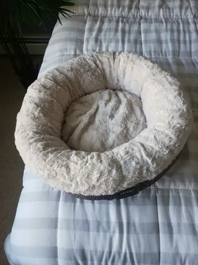 You know how cats are, the bed was used once and never looked at again. Best suited for a small-medi...