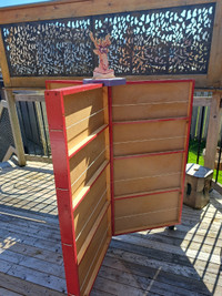 Bookcases custom-designed and built. Colourful mobile expandible