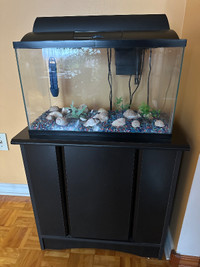 Aquarium Set (10 gallon tank)  with Wooden Stand