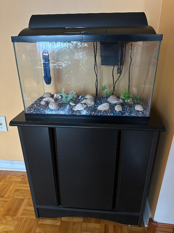 Aquarium Set (10 gallon tank)  with Wooden Stand dans Articles multiples  à Ville de Montréal
