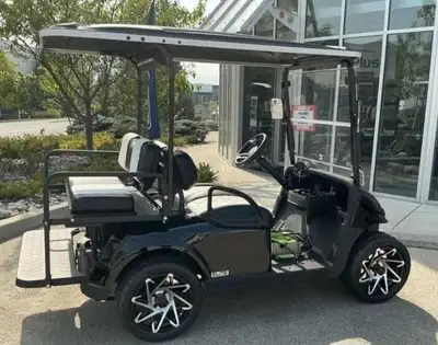 Golf Cart lithium electric ezgo rxv elite , View more