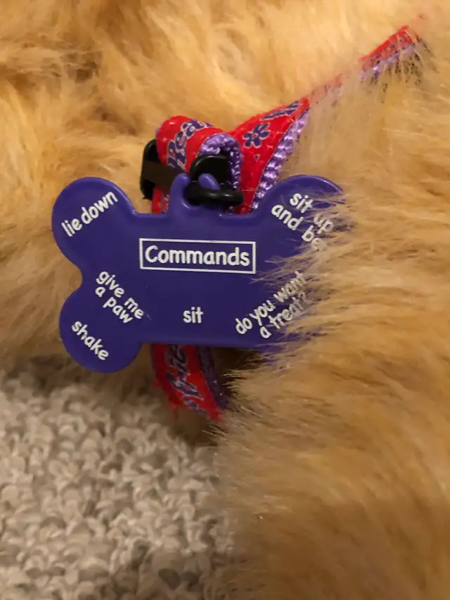 Realistic goldon retriever dog toy in Accessories in City of Toronto - Image 5