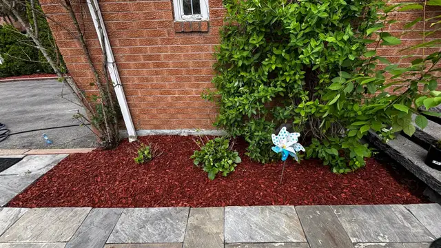 Landscaping, Window Cleaning & Pressure Washing62863722661635121