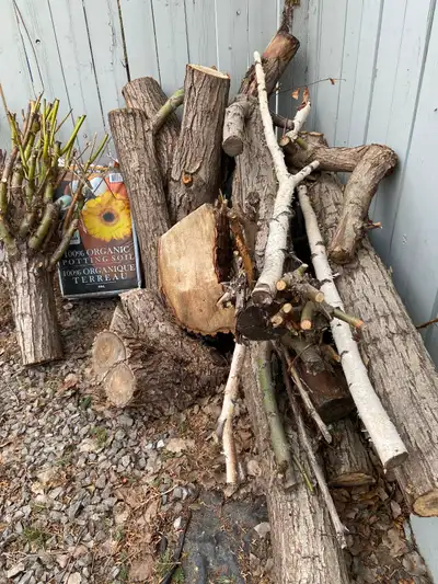 Free Firewood, interested, View more