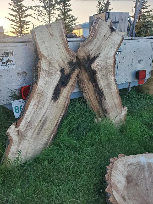 Medium & Large Raw Wood Cookie Slabs in Other in Regina - Image 7