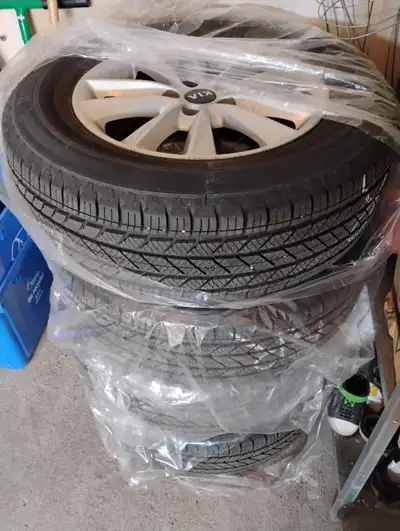 They are on alloy wheels. I used them only in one summer. I changed my car recently, that is why I a...