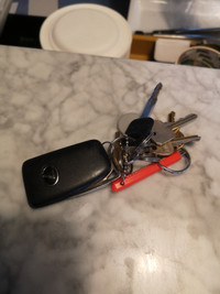 Found car and other keys