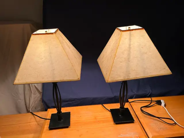 Floor lamp standing floor lamp stands 5 feet high + more in Indoor Lighting & Fans in Oakville / Halton Region - Image 6