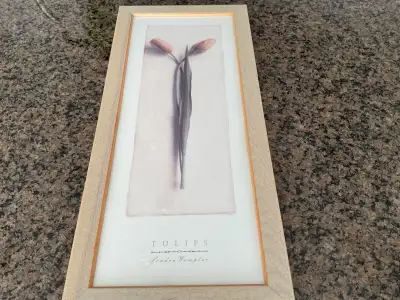 The Tulip by Sandro Wampler. Used but in perfect condition…almost new. Cash only. Edmonton Southwest...