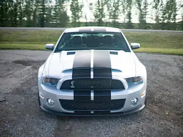 2010 Shelby GT50062863215881857124