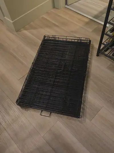 Medium to large collapsible dog crate. Not even a year old. Perfect condition.