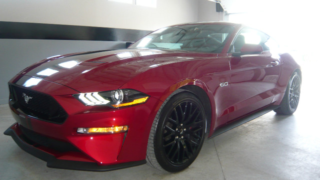 2021 Mustang GT performance pack automatic 10 speed low KMs in Cars & Trucks in St. John's - Image 3