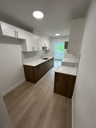 Logement  4 1/2 a louer