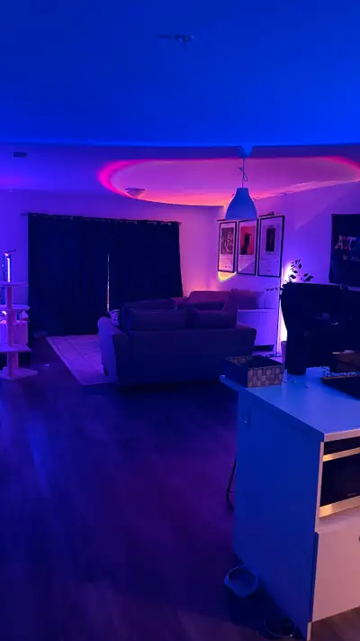 1 bed 1 bath apartment