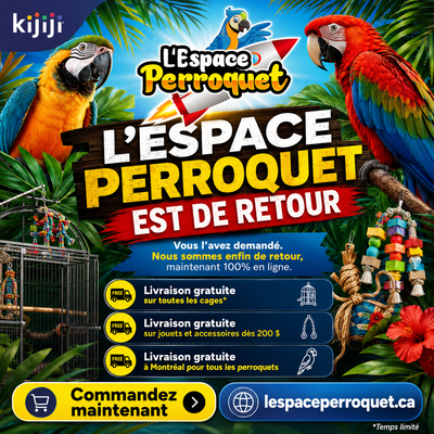 L’Espace Perroquet est de retour! The Parrot Space is Back!, View more
