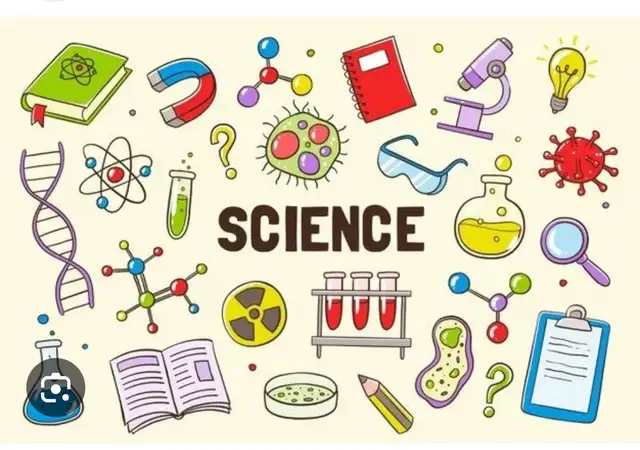 Grade 6–12 Science Tutor -417524190817832962