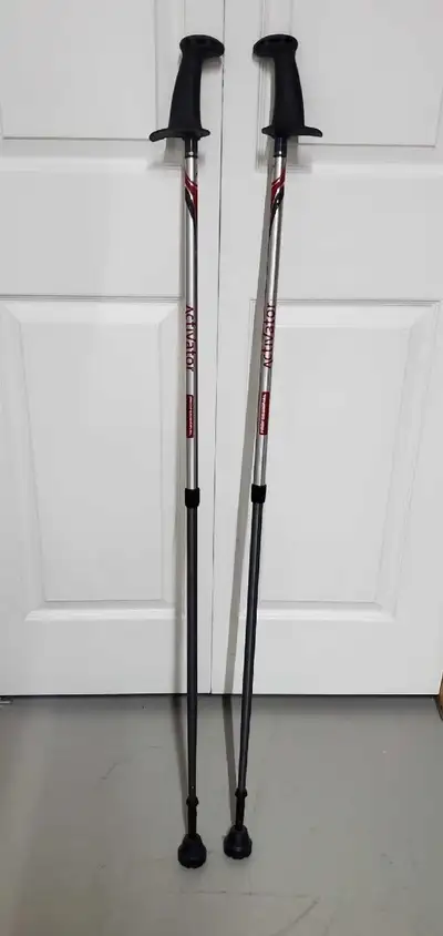 Ski Poles, View more