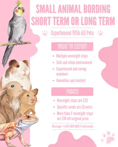 I provide boarding services exclusively for rodents, reptiles, and birds. We offer short-term or lon...