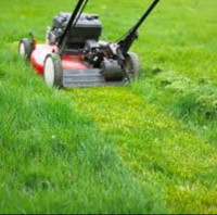 Lawn care, cleanup and maintenance 