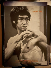 Lot of 2 Rare Bruce Lee & Martial Arts Themed Movie Posters