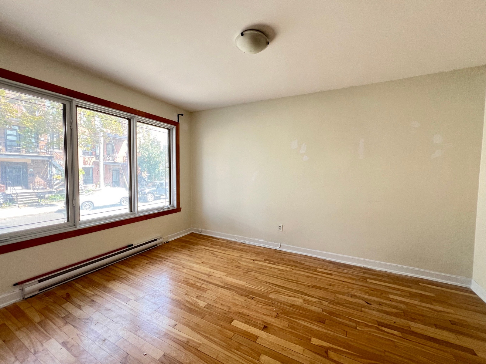 8060 Rue Saint-Dominique — photo 3