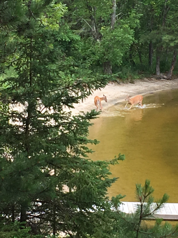 Cottage and Property For Sale Land for Sale Kenora Kijiji