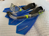 Snorkel, fins and goggles 