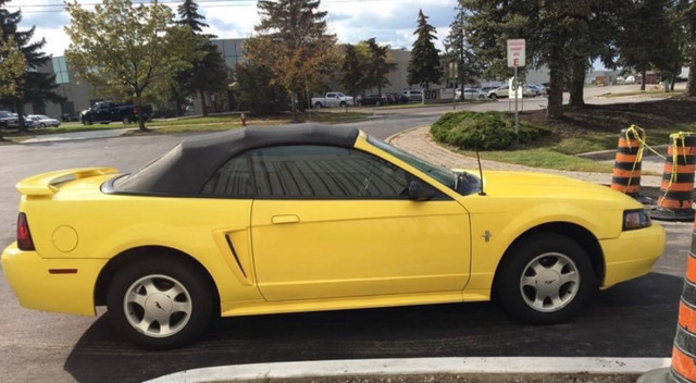 2001 Ford Mustang Base 2D Convertible in Cars & Trucks in City of Toronto - Image 3