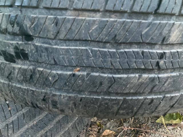 245 50 R20 all season tires on rims in Tires & Rims in Vernon - Image 4