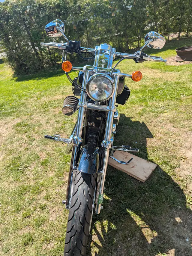 1200 CC Stage 2 Sportster in Street, Cruisers & Choppers in Kawartha Lakes - Image 10