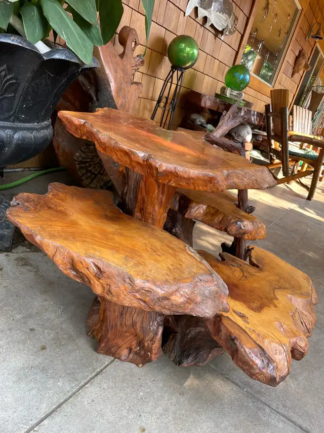 Unique Teak Root Display Stand in Outdoor Décor in Kamloops - Image 4