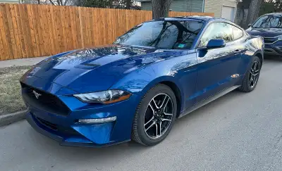 Mustang Ecoboost Premium, purchased new, one owner -10 spd auto -completely stock -32,000 km -full e...