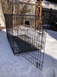 Cage à chien 