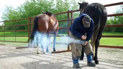 Farriers are need now, Voir plus