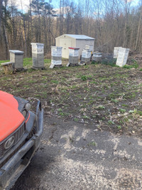 Honey bee hive equipment 