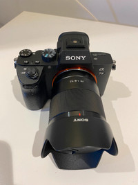 Sony A7iii / FE 35 mm F1.8 Lens / Small Rig Half Cage