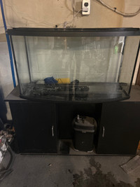 35 gallon curved front tank and stand