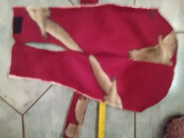 Dog Coat  -  Small in Accessories in St. Catharines - Image 3