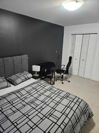 Furnished room for rent in Gatineau/Ottawa