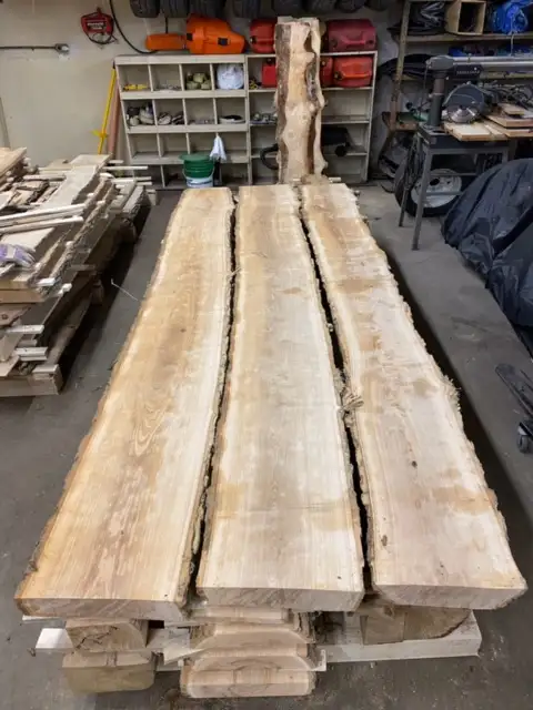 Live Edge Lumber -  HUGE OAK slabs - CEDAR available. in Hobbies & Crafts in Winnipeg - Image 7