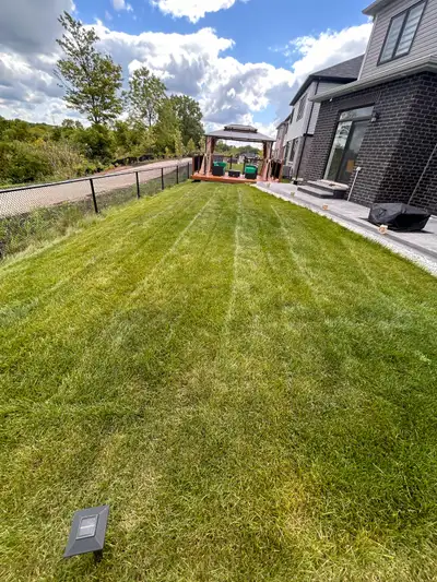 grass cutting/ tree trimming / pressure washing, View more