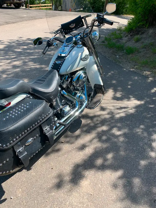 03 Harley Fatboy in Street, Cruisers & Choppers in Regina - Image 3