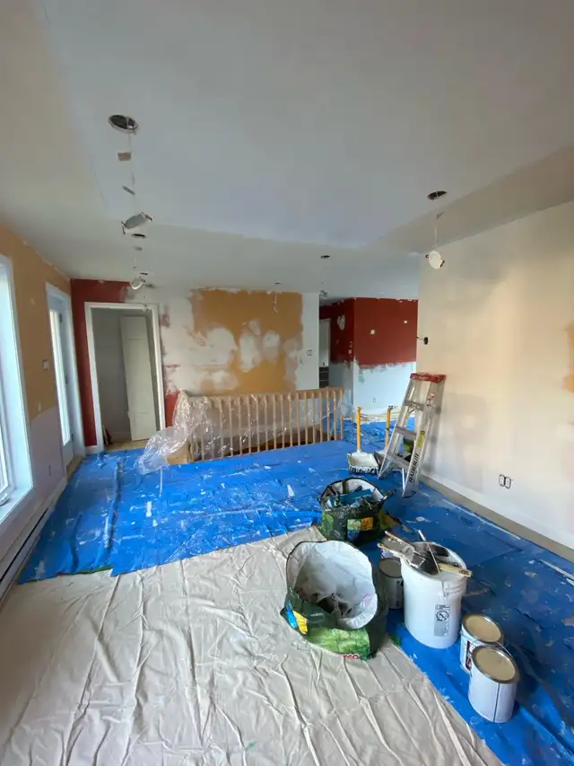 entrepreneur painter62863227457666123