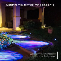New in Box:  Outdoor LED Nebula Projector