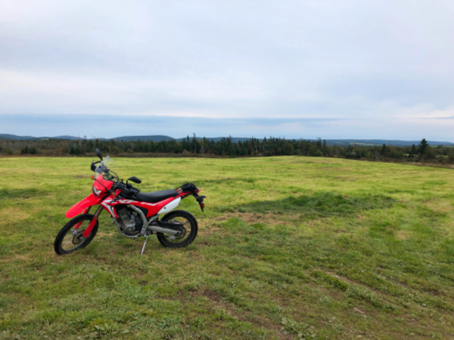 2020 CRF250L in Dirt Bikes & Motocross in St. John's - Image 2