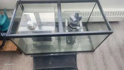 Saltwater Aquarium, View more