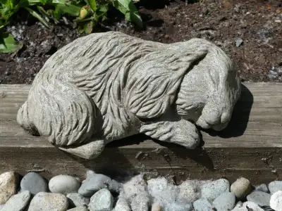 Napping garden bunny, View more