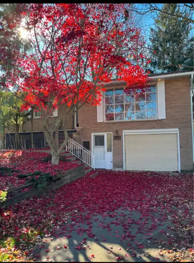 3 Furnished Rooms for Rent | $700–$825 + Utilities | Near Laurie